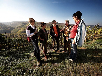 Archaeological hiking trail Bruttig-Fankel