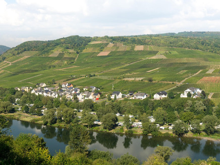 Römergräber Nehren