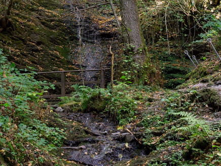 Dortebachtal in Klotten