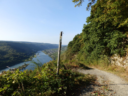 Abstieg nach Enkirch