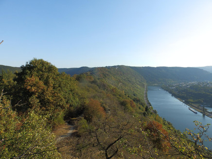 Blick Richtung Traben-Trarbach