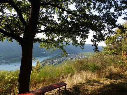 Abstieg nach Enkirch