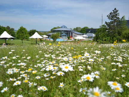 Außenbereich - ThermeNatur - Bad Rodach
