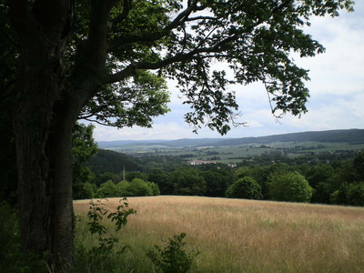 At Hagenberg