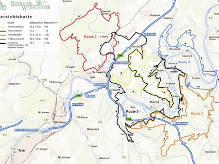 mountain bike trail network