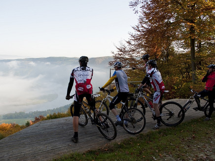 Moselhöhe bei Riol, Mehring & Pölich