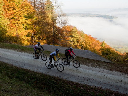 Moselhöhe im Herbst mit Mountainbiker in Aktion