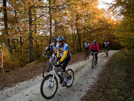 Meulenwald with mountain biker in autumn
