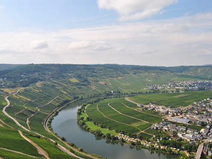 Die Mosel bei Trittenheim