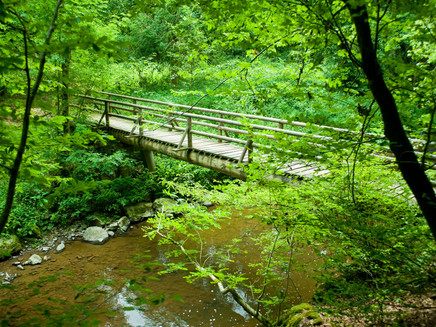 Unterwegs an der Lieser