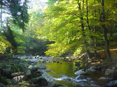 Wildromantisches Elendstal