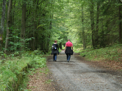 Ein bequemer Weg durch das Elendstal nach Schierke