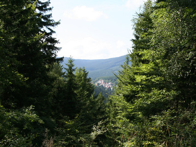 Blick von der Helenenruh auf Schierke
