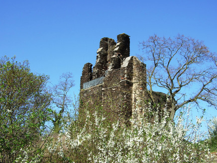 Wolfer kloster