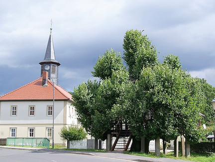 Tanzlinde in Sachsenbrunn