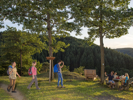 Wandergruppe auf dem Eifeltraum