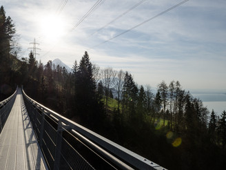 Blick auf See und Berge Hängebrücke Leissigen