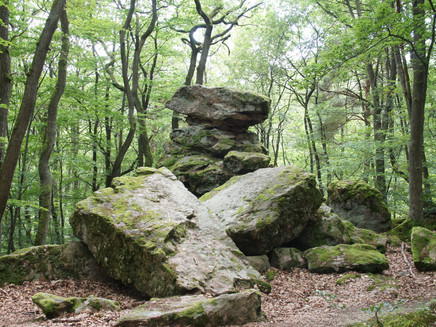 Wildstein