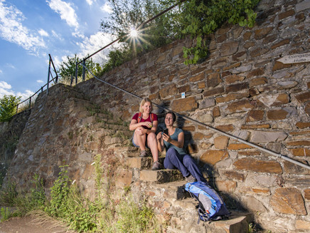 Rest on the vineyard steps