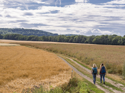 In open country around the Krahnenberg