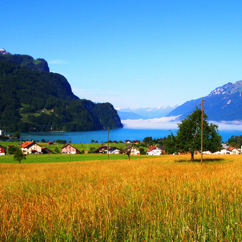 Brienzersee von Kienholz aus