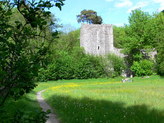 Ruine Weissenau
