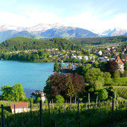 Spiezer Bucht vom Rebberg aus