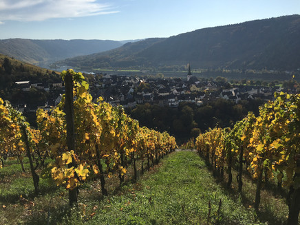 Enkirch im Herbst