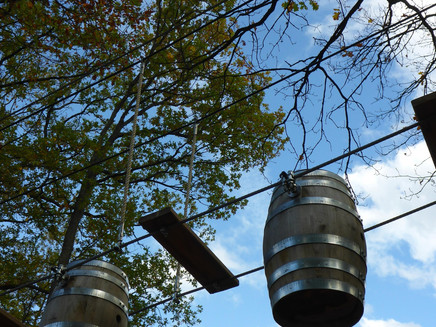 Kletterpark am Ferienpark Sonnenberg