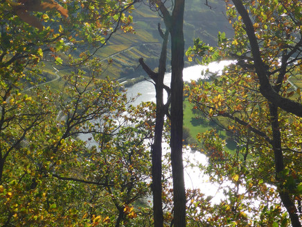 Ausblick aus dem Steilhang unterhalb der Konstantinhöhe