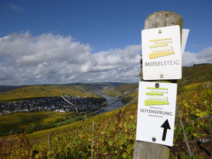 Moselsteig und Moselachter verlaufen tlw. auf der gleichen Route