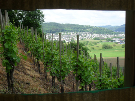Blick auf die Ortsgemeinde Kenn