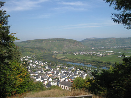 Blick auf Ensch vom Martinskreuz