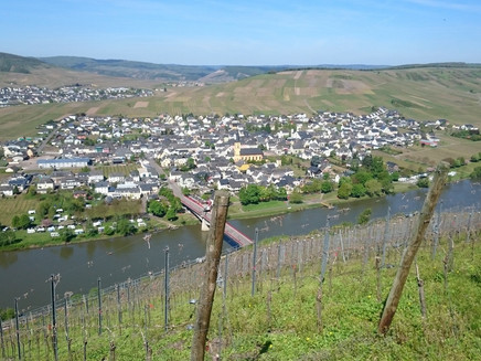 Blick auf Trittenheim