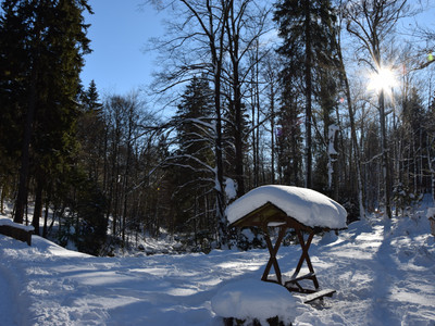 Elendstal Richtung Schierke
