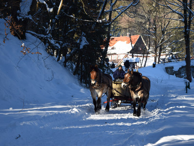Pferdekutschfahrten von Schierke nach Elend durchs Elendstal
