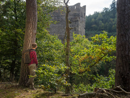 Blick auf die Burgruine Balduinseck