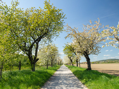Hiking trail from Helsunger Krug towards the city center