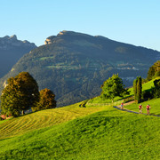 Saftige Wiesen und herrlicher Ausblick