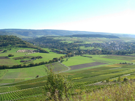 Vineyards next to Lieser and Maring-Noviand