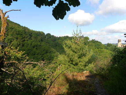 Blick auf die Burg Landshut entlang der Strecke
