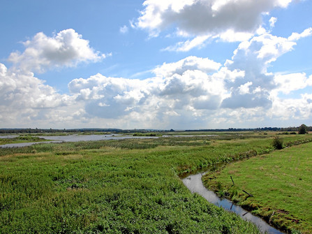 Feuchtgebiet Polder Bramel