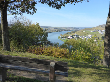View of Mehring and Riol
