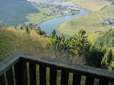 View from the lookout tower at Fünfseenblick