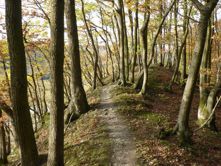 Path over a rocky ridge