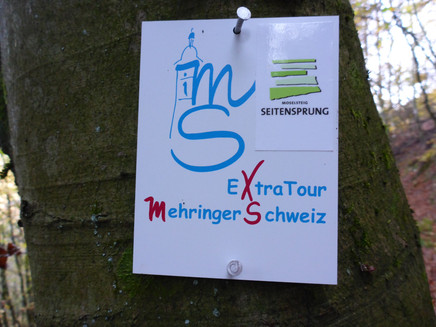 Wegelogo Detour Mehringer Switzerland