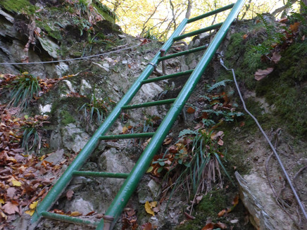 Iron ladder in the former quarry
