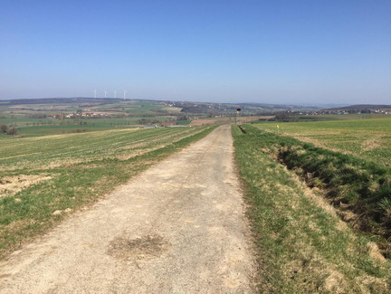 Oberhalb von Kaltenbrunn