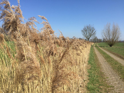 Itzauen unterhalb von Schottenstein