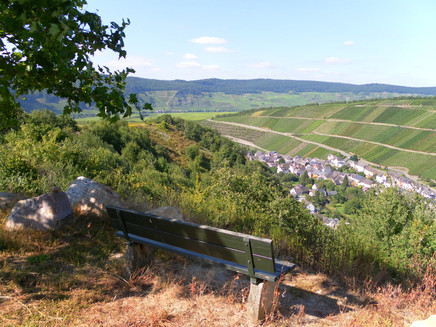 Blick auf Neumagen-Dhron